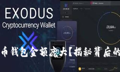 为什么比特币钱包金额庞大？揭秘背后的秘密与影响