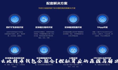 为什么比特币钱包会锁仓？探秘背后的原因与解决方法
