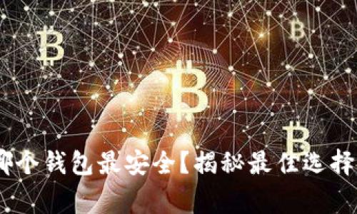 USDT存在哪个钱包最安全？揭秘最佳选择和注意事项