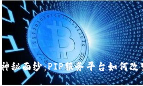 揭开Web3时代的神秘面纱：PIP服务平台如何改变我们的数字未来