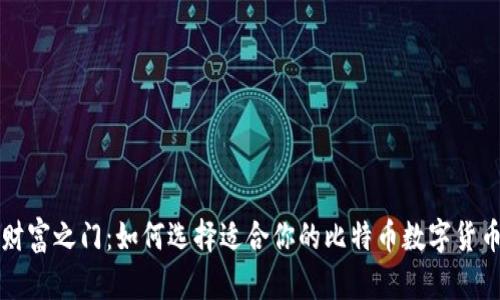 解锁财富之门：如何选择适合你的比特币数字货币钱包