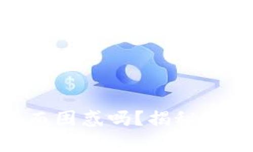 你还在为USDT钱包的使用而困惑吗？揭秘国内用户的真实体验与技巧！