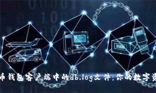 揭秘比特币钱包客户端中的db.log文件：你的数字资产守护者