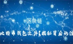 如何安全删除比特币钱包文件？揭秘背后的注意