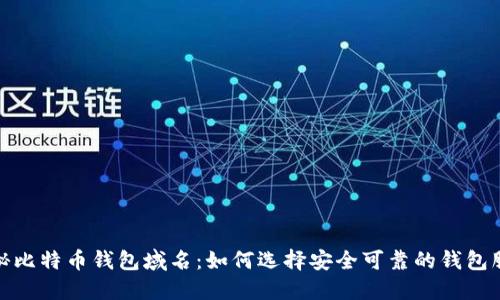 揭秘比特币钱包域名：如何选择安全可靠的钱包服务