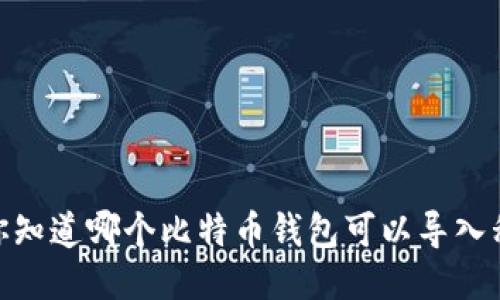 揭秘：你知道哪个比特币钱包可以导入私钥吗？