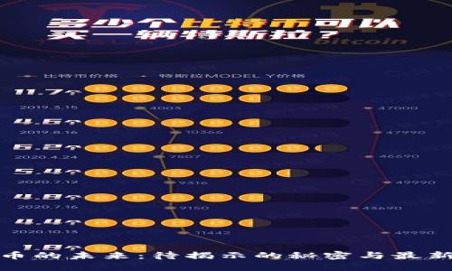 BNB币的未来：待揭示的秘密与最新动态