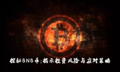 探秘BNB币：揭示投资风险与应对策略