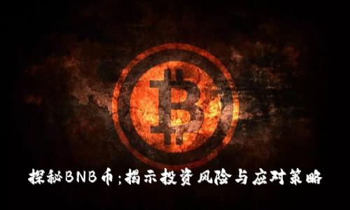 探秘BNB币：揭示投资风险与应对策略