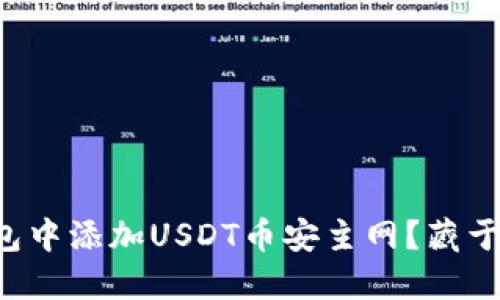 如何轻松在小狐狸钱包中添加USDT币安主网？藏于数字资产交易的秘密！