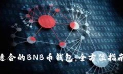 选择最适合的BNB币钱包：全方位指南与建议
