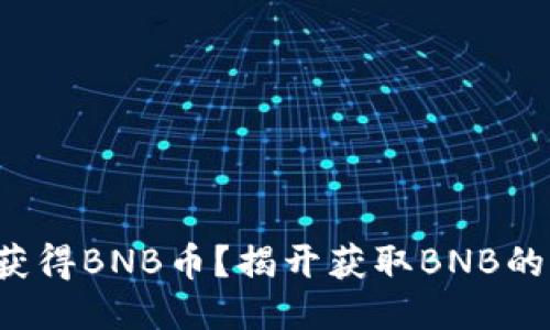 如何轻松获得BNB币？揭开获取BNB的神秘面纱！