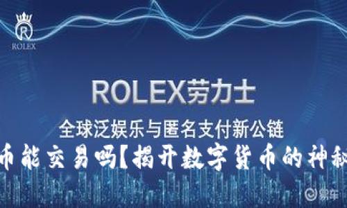 BNB币能交易吗？揭开数字货币的神秘面纱