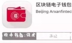 揭秘比特币钱包：谁才是真正的财富拥有者？