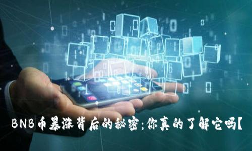 BNB币暴涨背后的秘密：你真的了解它吗？