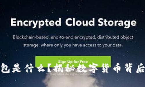 比特币WEB钱包是什么？揭秘数字货币背后的安全与便捷