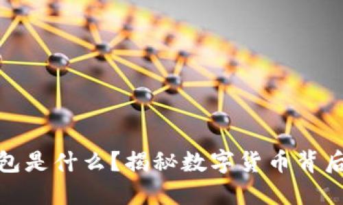 比特币WEB钱包是什么？揭秘数字货币背后的安全与便捷