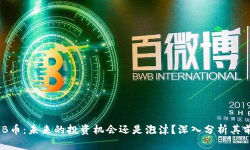 BNB币：未来的投资机会还是泡沫？深入分析其前景