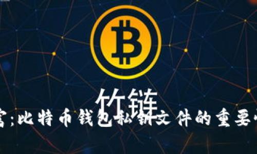 保护您的财富：比特币钱包私钥文件的重要性与管理秘籍