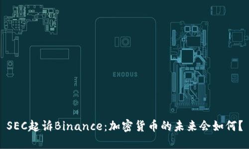 SEC起诉Binance：加密货币的未来会如何？