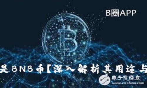 什么是BNB币？深入解析其用途与价值