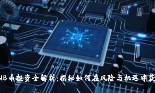 BNB币投资全解析：揭秘如何在风险与机遇中获利