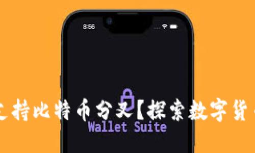 币信钱包是否支持比特币分叉？探索数字货币的无穷可能性