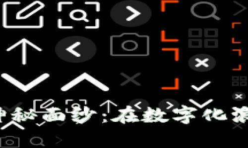 揭开日本Web3创业的神秘面纱：在数字化浪潮中寻找属于你的位置