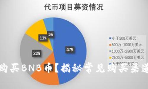 如何安全地购买BNB币？揭秘常见购买渠道与注意事项