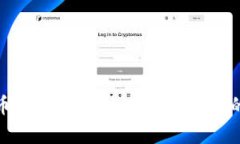 BNB币的总量限制：你需要知道的真相