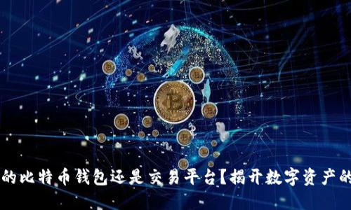 OKEx: 您的比特币钱包还是交易平台？揭开数字资产的神秘面纱