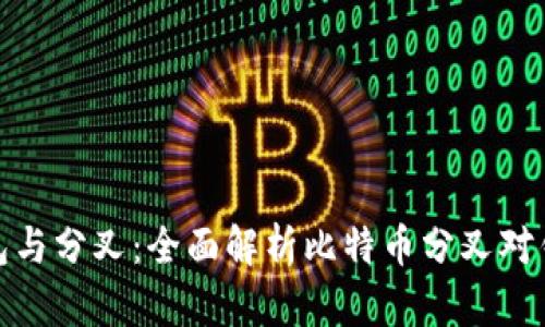 比特币钱包与分叉：全面解析比特币分叉对钱包的影响