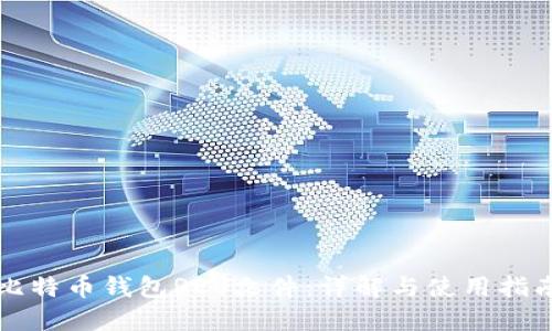 比特币钱包REV文件：详解与使用指南