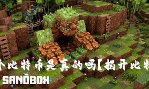 钱包198个比特币是真的吗？揭开比特币的奥秘