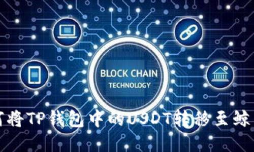 如何将TP钱包中的USDT转移至鲸交所