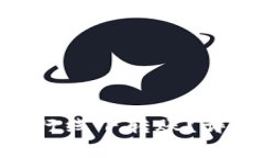 如何在Binance平台进行线下转账？详细指南与常见