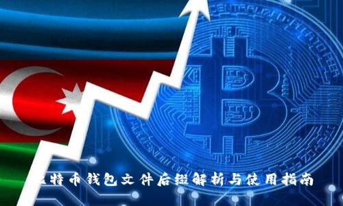 比特币钱包文件后缀解析与使用指南
