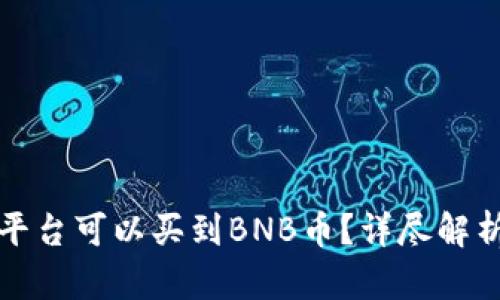 在哪些交易平台可以买到BNB币？详尽解析及使用指南