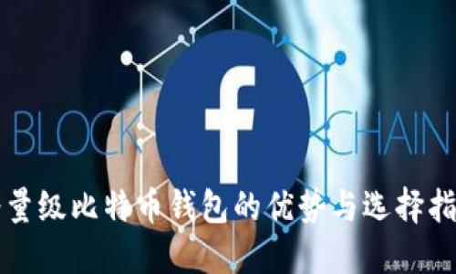 轻量级比特币钱包的优势与选择指南