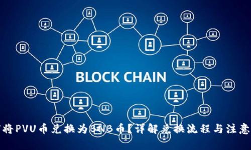 如何将PVU币兑换为BNB币？详解兑换流程与注意事项