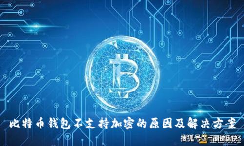比特币钱包不支持加密的原因及解决方案