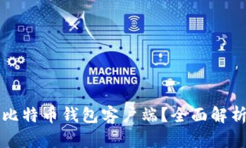 如何选择合适的比特币钱包客户端？全面解析与用户访问指南