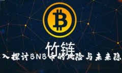 深入探讨BNB币的风险与未来隐患