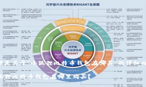 以下是关于“小狐狸比特币钱包在哪买”的详细内容：

小狐狸比特币钱包在哪里购买？