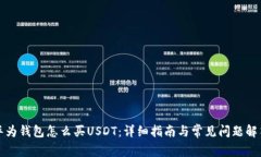 华为钱包怎么买USDT：详细指南与常见问题解答