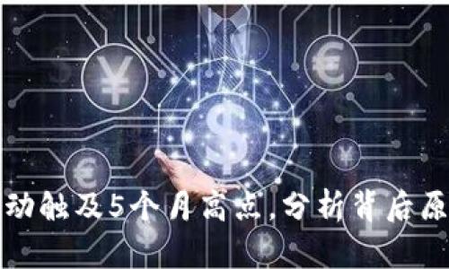 比特币钱包活动触及5个月高点，分析背后原因及未来趋势