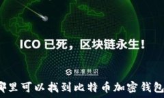   哪里可以找到比特币加密钱包？