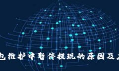 USDT钱包维护中暂停提现的原因及应对措施