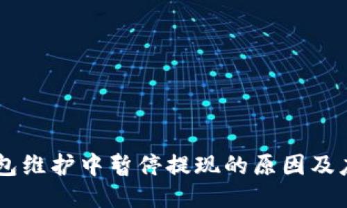 USDT钱包维护中暂停提现的原因及应对措施