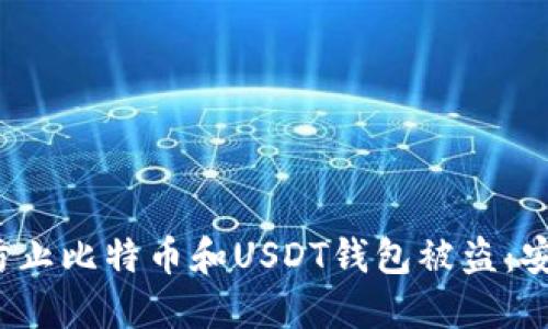 如何防止比特币和USDT钱包被盗：安全指南